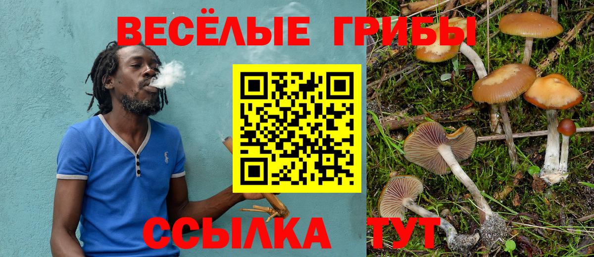 Галлюциногенные грибы прущие грибы Кирово-Чепецк