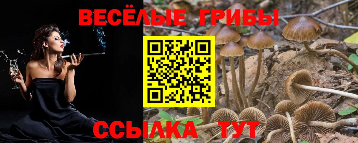Галлюциногенные грибы Magic Shrooms  Галлюциногенные грибы мухоморы  Кирово-Чепецк  Вход с VPN 